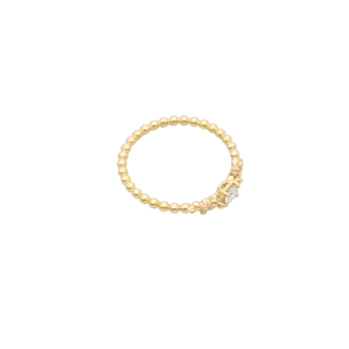 Garden Ring